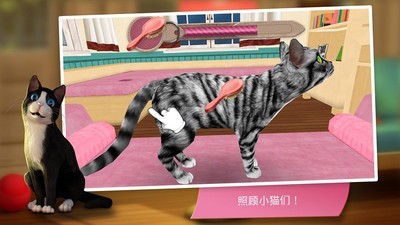 猫舍特别版