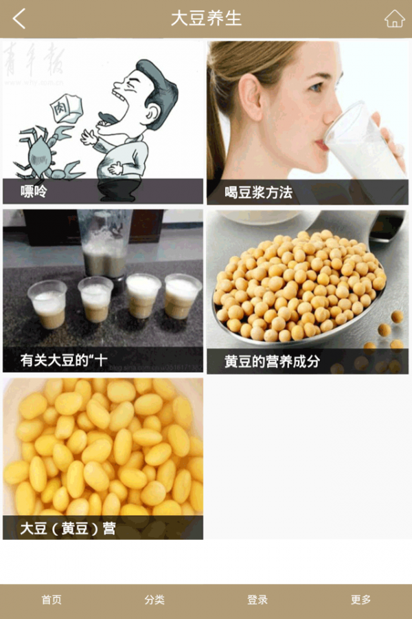 三禾豆美